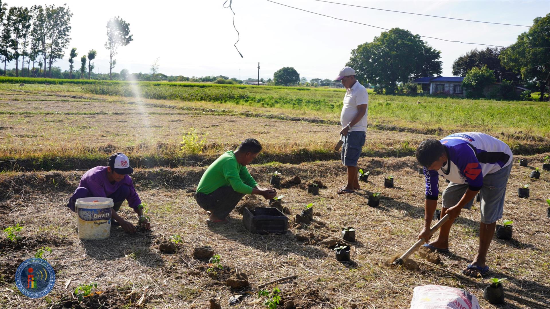 Gulayan sa Bakuran - SJC.GOV.PH